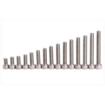 Hex Socket Cap Screw SS(304) M6 x 12mm - 50pcs